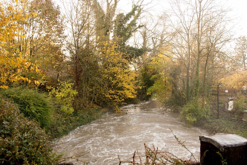 Little Hallingbury Mill Экстерьер фото